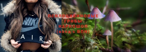 прущие крисы Беломорск