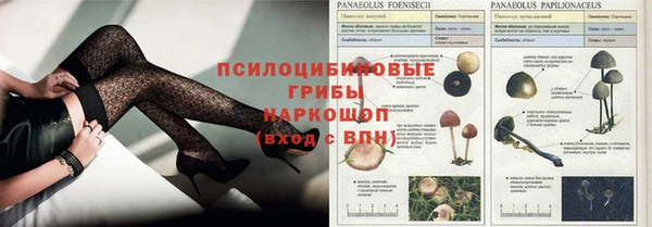 прущие крисы Беломорск