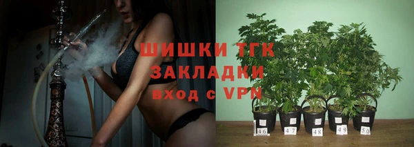 дживик Белоозёрский