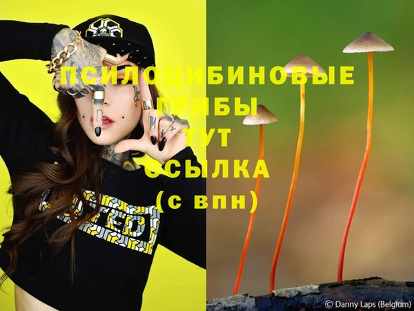дживик Белоозёрский
