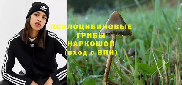 прущие крисы Беломорск