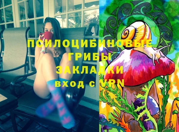apvp Белокуриха