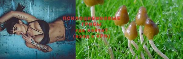 apvp Белокуриха